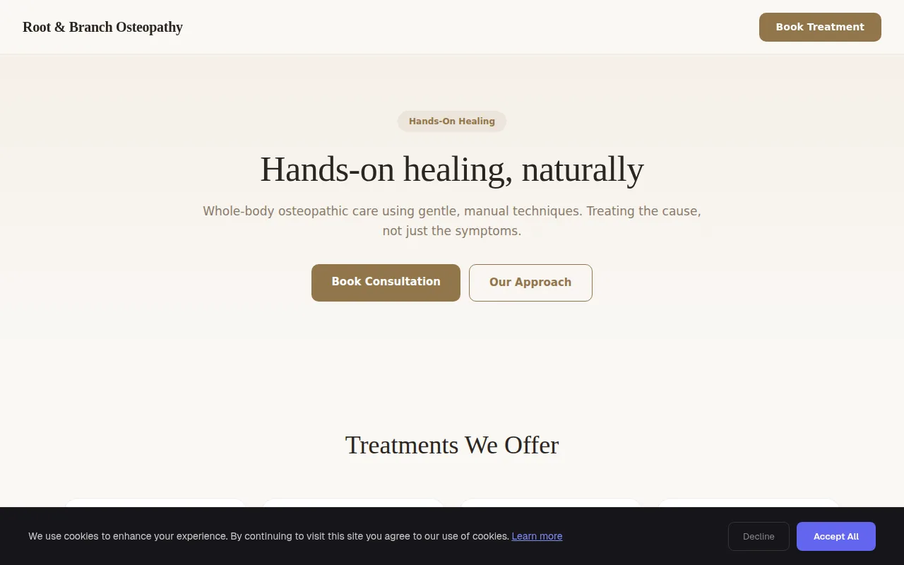 Osteopathy theme preview