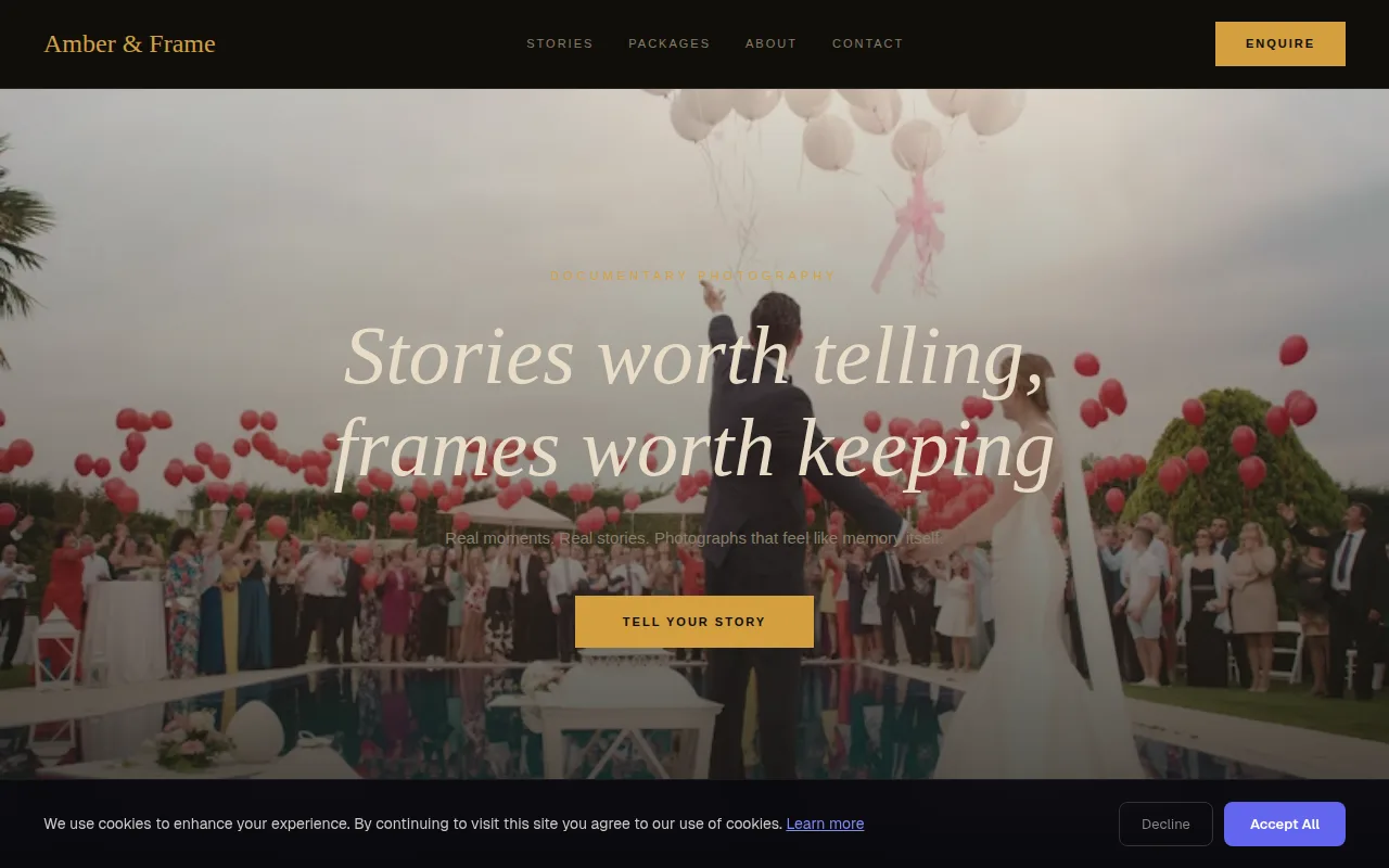 Documentary theme preview