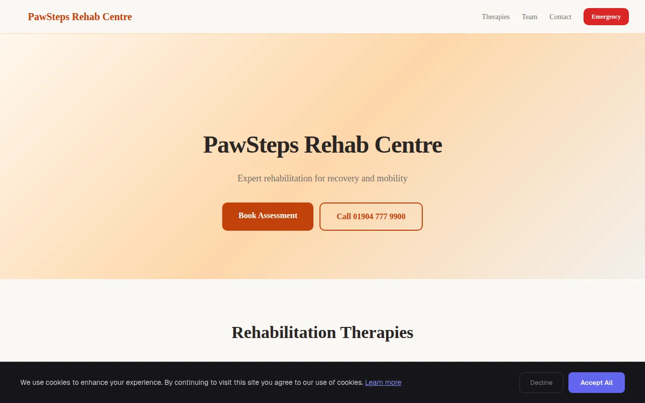 Rehab Centre theme preview